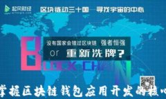 全面掌握区块链钱包应用